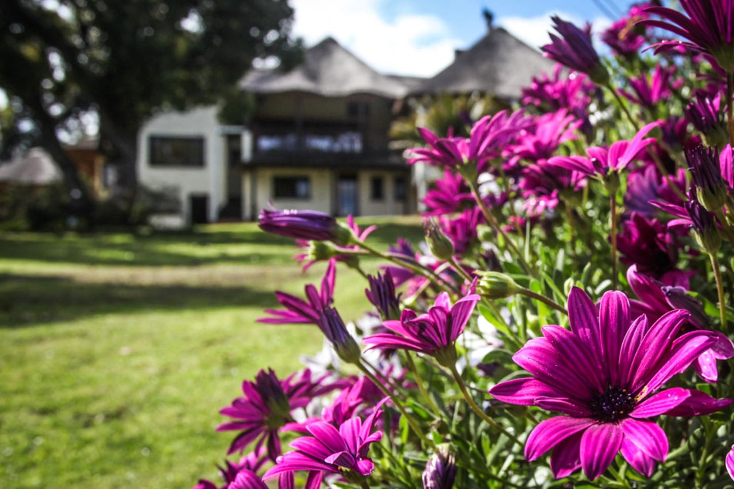 Winelands Villa Guesthouse And Cottages Somerset West Dış mekan fotoğraf