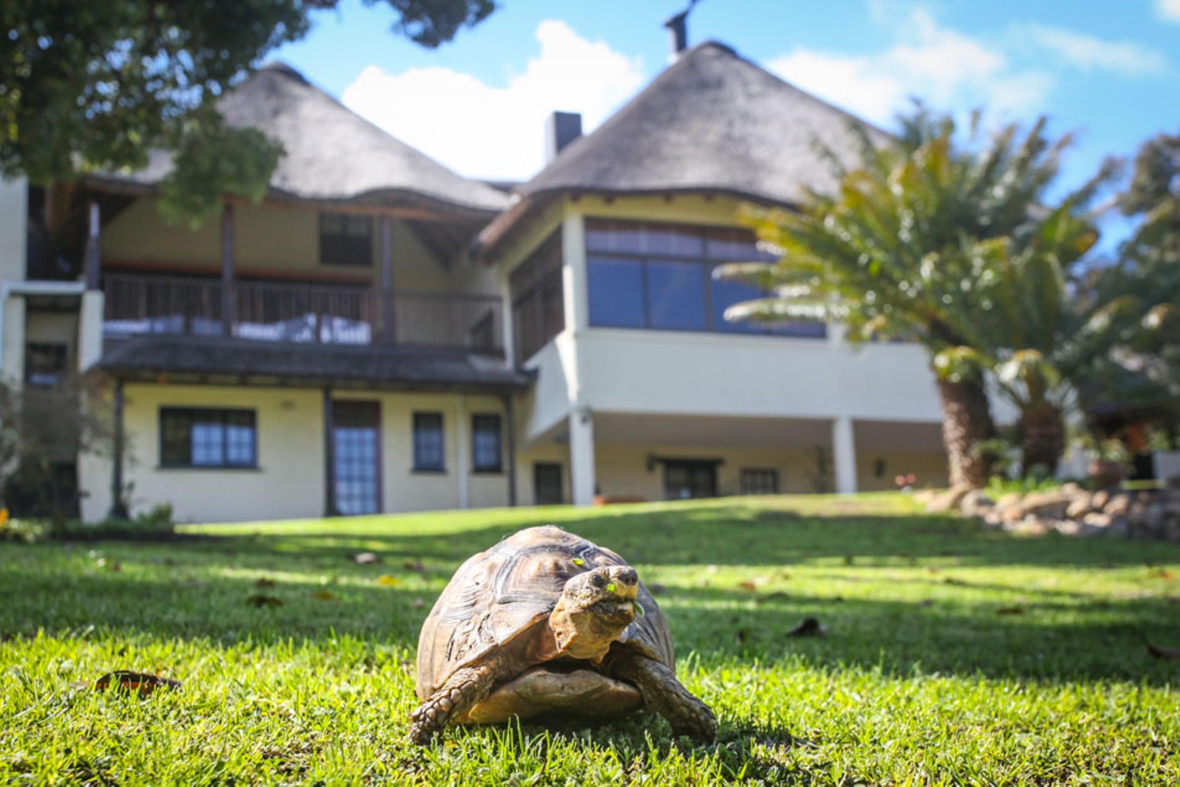 Winelands Villa Guesthouse And Cottages Somerset West Dış mekan fotoğraf