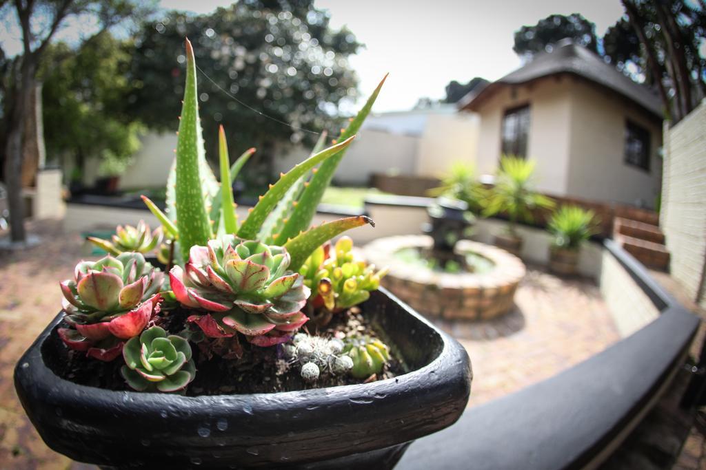 Winelands Villa Guesthouse And Cottages Somerset West Dış mekan fotoğraf