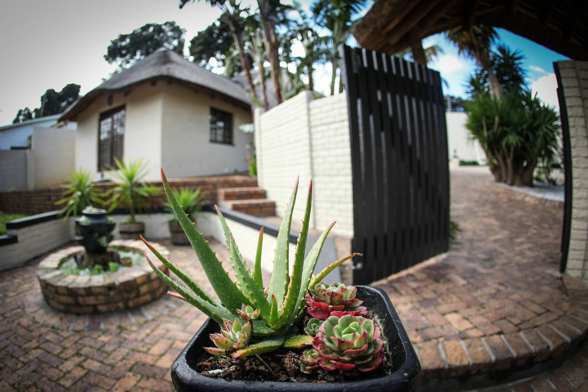 Winelands Villa Guesthouse And Cottages Somerset West Dış mekan fotoğraf